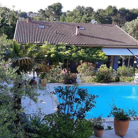 Villa La Licorne Piscine Privee, Jacuzzi, Massages, Tennis, Golf A 9Km Belcodene Ngoại thất bức ảnh